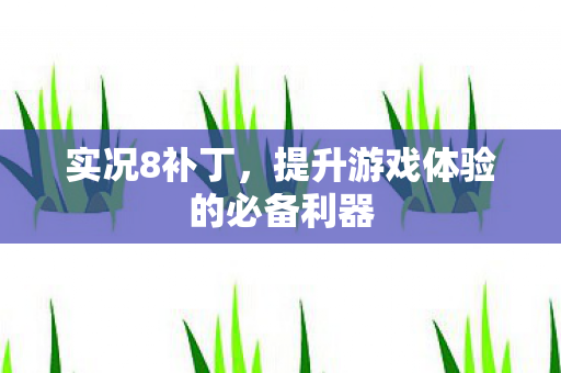 实况8补丁，提升游戏体验的必备利器