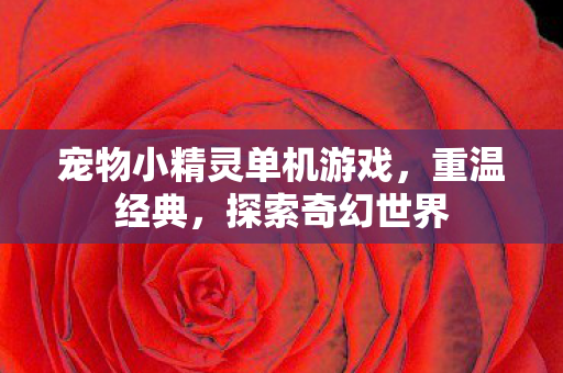 宠物小精灵单机游戏，重温经典，探索奇幻世界
