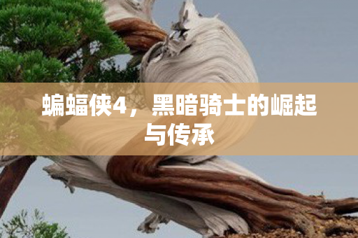 蝙蝠侠4，黑暗骑士的崛起与传承