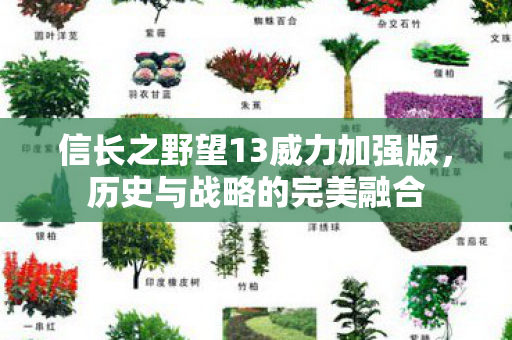 信长之野望13威力加强版，历史与战略的完美融合