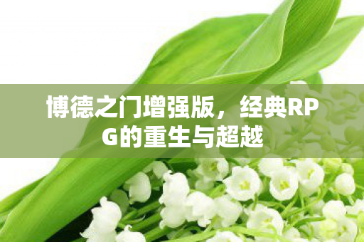博德之门增强版，经典RPG的重生与超越