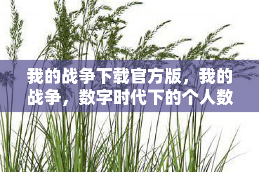 我的战争下载官方版，我的战争，数字时代下的个人数据保卫战