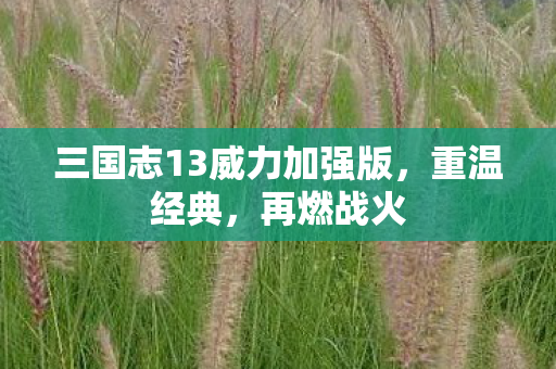 三国志13威力加强版，重温经典，再燃战火