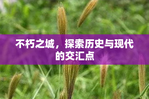 不朽之城，探索历史与现代的交汇点