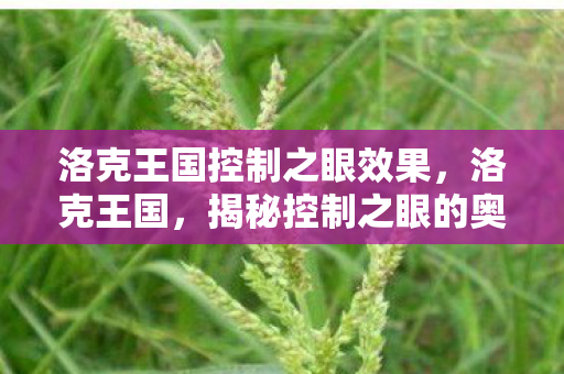 洛克王国控制之眼效果，洛克王国，揭秘控制之眼的奥秘