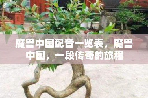 魔兽中国配音一览表，魔兽中国，一段传奇的旅程