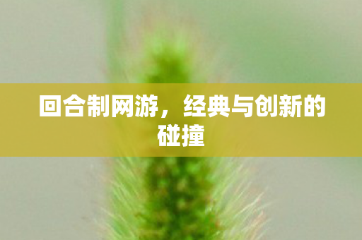 回合制网游，经典与创新的碰撞