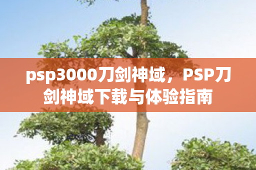 psp3000刀剑神域，PSP刀剑神域下载与体验指南