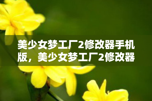 美少女梦工厂2修改器手机版，美少女梦工厂2修改器，解锁无限可能的魔法钥匙