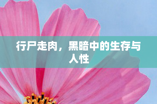 行尸走肉，黑暗中的生存与人性
