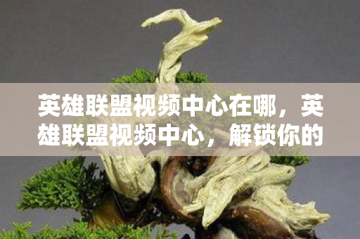 英雄联盟视频中心在哪，英雄联盟视频中心，解锁你的游戏技巧与精彩瞬间