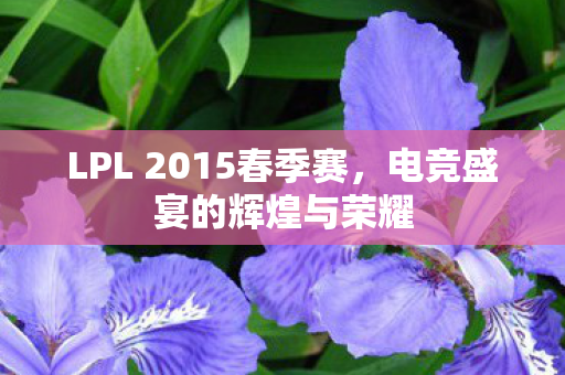 LPL 2015春季赛，电竞盛宴的辉煌与荣耀