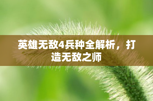 英雄无敌4兵种全解析,打造无敌之师 英雄无敌4兵种全解析,打造无敌之师