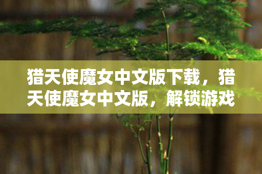 猎天使魔女中文版下载，猎天使魔女中文版，解锁游戏新境界