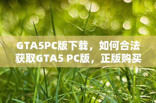 GTA5PC版下载，如何合法获取GTA5 PC版，正版购买与游戏体验指南