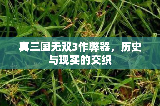 真三国无双3作弊器，历史与现实的交织