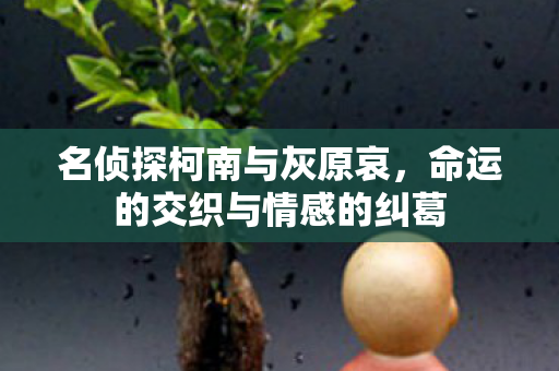 名侦探柯南与灰原哀，命运的交织与情感的纠葛