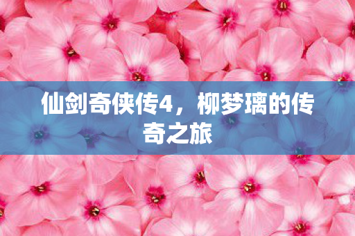 仙剑奇侠传4，柳梦璃的传奇之旅