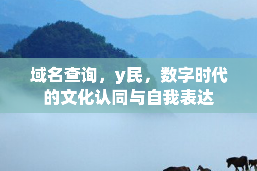 域名查询，y民，数字时代的文化认同与自我表达