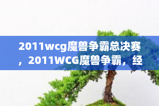 2011wcg魔兽争霸总决赛，2011WCG魔兽争霸，经典战役与传奇选手的辉煌时刻