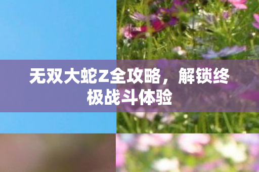 无双大蛇Z全攻略，解锁终极战斗体验