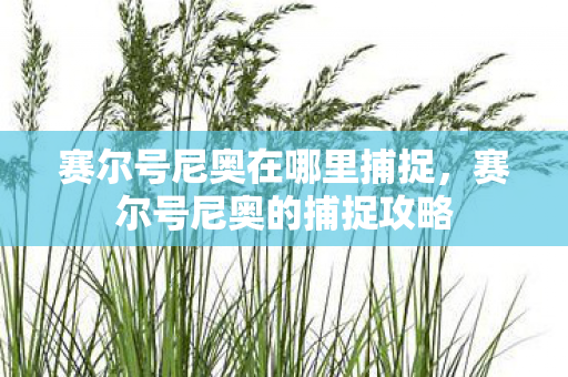 赛尔号尼奥在哪里捕捉，赛尔号尼奥的捕捉攻略