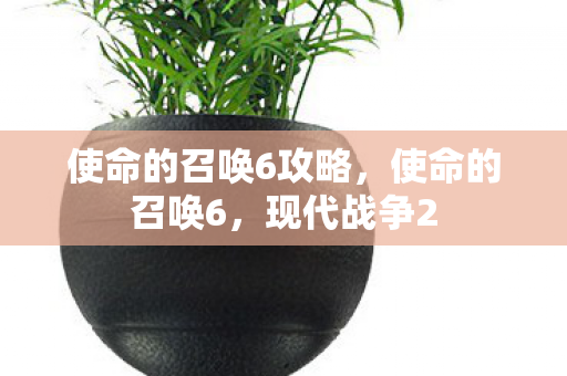 使命的召唤6攻略，使命的召唤6，现代战争2