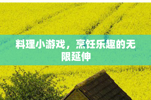 料理小游戏，烹饪乐趣的无限延伸