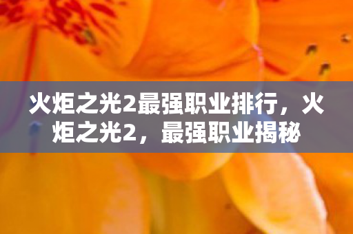 火炬之光2最强职业排行，火炬之光2，最强职业揭秘