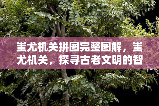 蚩尤机关拼图完整图解，蚩尤机关，探寻古老文明的智慧遗产