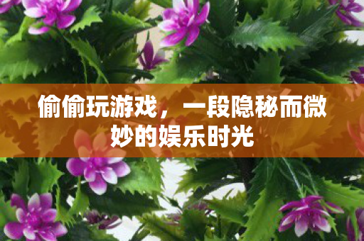 偷偷玩游戏，一段隐秘而微妙的娱乐时光