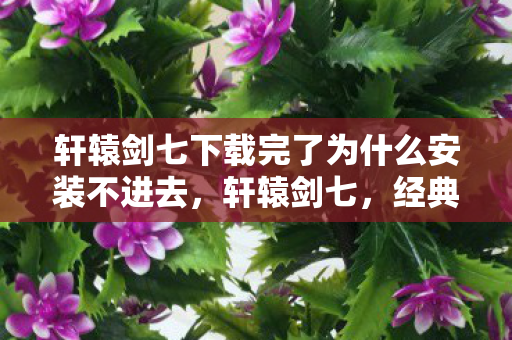 轩辕剑七下载完了为什么安装不进去，轩辕剑七，经典续作，再续传奇