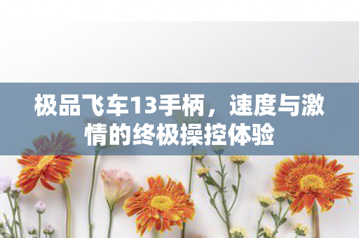 极品飞车13手柄，速度与激情的终极操控体验