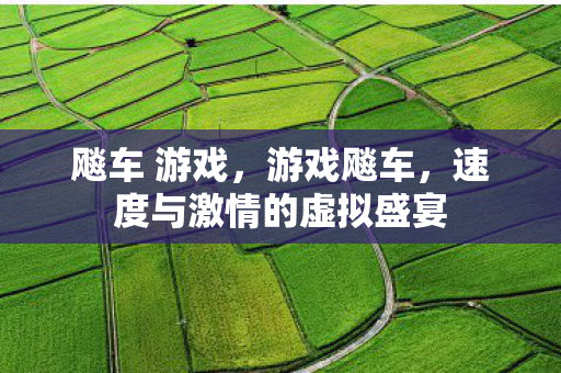 飚车 游戏，游戏飚车，速度与激情的虚拟盛宴