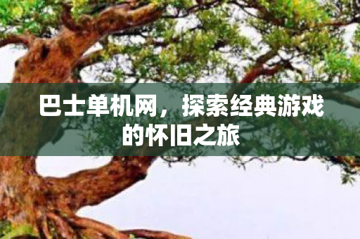 巴士单机网，探索经典游戏的怀旧之旅