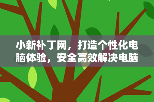 小新补丁网，打造个性化电脑体验，安全高效解决电脑问题