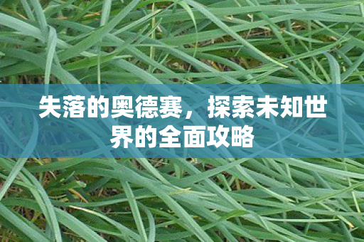 失落的奥德赛，探索未知世界的全面攻略