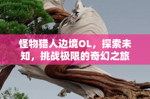 怪物猎人边境OL，探索未知，挑战极限的奇幻之旅