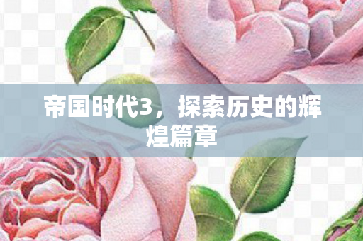 帝国时代3，探索历史的辉煌篇章