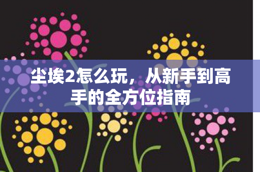 尘埃2怎么玩,从新手到高手的全方位指南 尘埃2怎么玩,从新手到高手的全方位指南