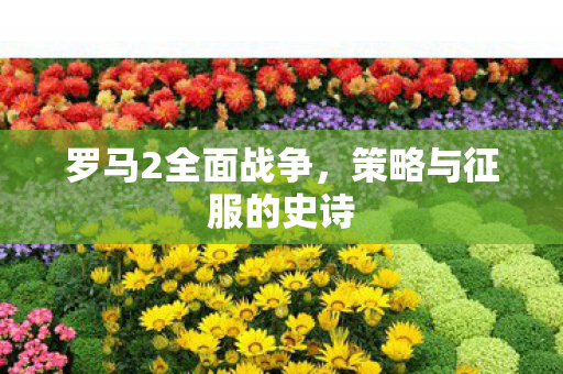 罗马2全面战争，策略与征服的史诗
