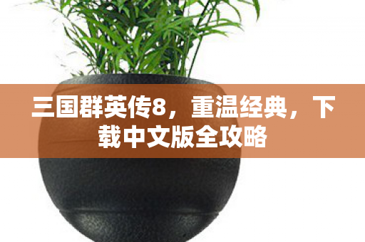 三国群英传8,重温经典,下载中文版全攻略 三国群英传8,重温经典,下载中文版全攻略