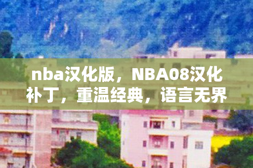 nba汉化版，NBA08汉化补丁，重温经典，语言无界