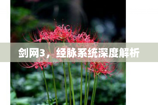 剑网3,经脉系统深度解析 剑网3,经脉系统深度解析