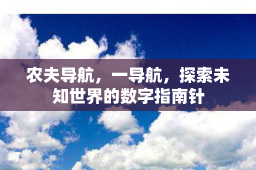 农夫导航，一导航，探索未知世界的数字指南针