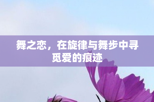 舞之恋，在旋律与舞步中寻觅爱的痕迹