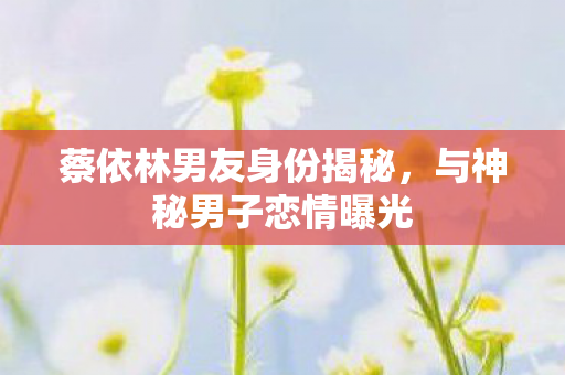 蔡依林男友身份揭秘,与神秘男子恋情曝光 蔡依林男友身份揭秘,与神秘男子恋情曝光