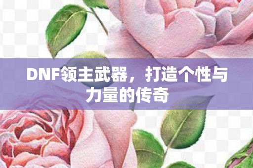 DNF领主武器，打造个性与力量的传奇