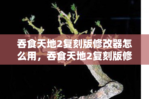 吞食天地2复刻版修改器怎么用，吞食天地2复刻版修改器，重温经典，尽享无限可能
