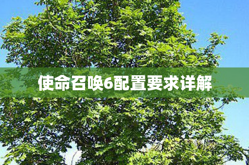 使命召唤6配置要求详解